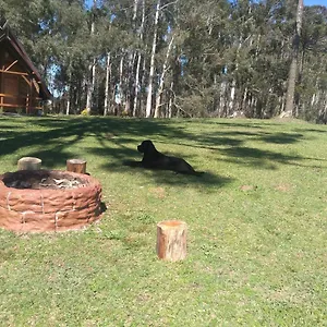 https://chale-de-pedra-sitio-rancho-crioulo.santa-catarina-brasil.com